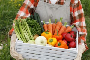 Продажа овощей оптом от компании «ЦинВэй»